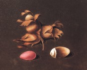 Figured is a cluster of elongated nuts with medium length husks and a red kernel. Pomona Britannica pl.73, 1812.