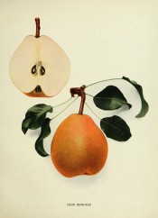 Figured is an oval pear, with sectioned pear, skin yellowish-green heavily speckled with russet. Pears of New York p.172, 1921.